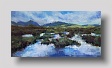 lochans,skye 2   oil on board 17 x 34cm